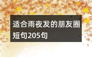 適合雨夜發(fā)的朋友圈短句205句