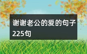 謝謝老公的愛的句子225句