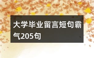 大學(xué)畢業(yè)留言短句霸氣205句