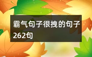 霸氣句子很拽的句子262句