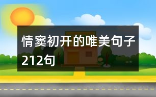 情竇初開的唯美句子212句