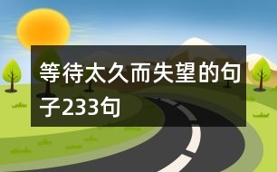 等待太久而失望的句子233句