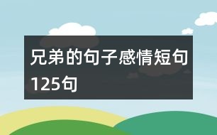 兄弟的句子感情短句125句