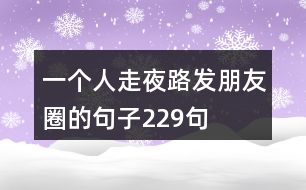 一個人走夜路發(fā)朋友圈的句子229句