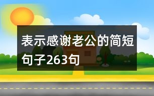 表示感謝老公的簡短句子263句