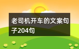 老司機開車的文案句子204句