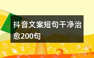 抖音文案短句干凈治愈200句