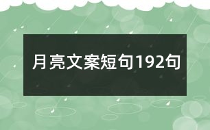 月亮文案短句192句