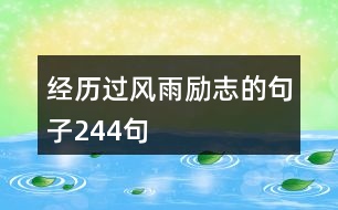 經(jīng)歷過(guò)風(fēng)雨勵(lì)志的句子244句