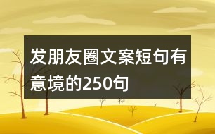 發(fā)朋友圈文案短句有意境的250句