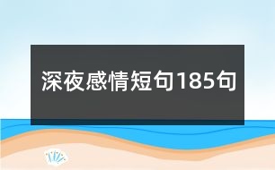 深夜感情短句185句