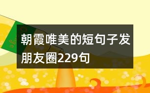 朝霞唯美的短句子發(fā)朋友圈229句