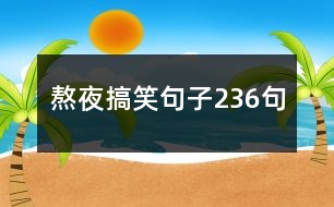 熬夜搞笑句子236句