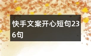 快手文案開心短句236句