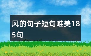 風的句子短句唯美185句