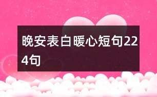 晚安表白暖心短句224句