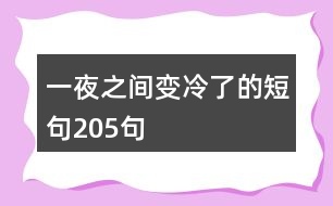 一夜之間變冷了的短句205句