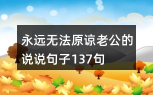 永遠(yuǎn)無(wú)法原諒老公的說(shuō)說(shuō)句子137句