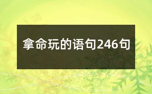 拿命玩的語(yǔ)句246句