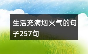 生活充滿煙火氣的句子257句