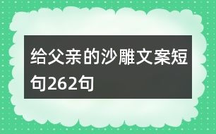 給父親的沙雕文案短句262句