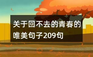 關(guān)于回不去的青春的唯美句子209句