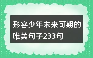 形容少年未來(lái)可期的唯美句子233句