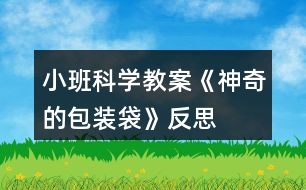 小班科學教案《神奇的包裝袋》反思