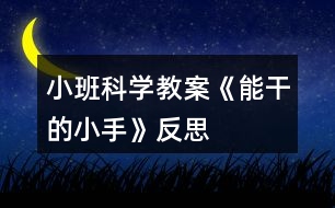 小班科學(xué)教案《能干的小手》反思