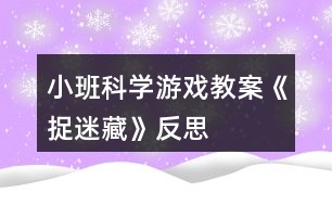 小班科學(xué)游戲教案《捉迷藏》反思