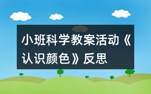 小班科學(xué)教案活動(dòng)《認(rèn)識(shí)顏色》反思