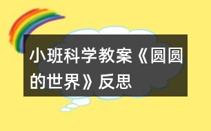 小班科學(xué)教案《圓圓的世界》反思