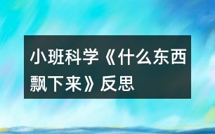 小班科學(xué)《什么東西飄下來(lái)》反思