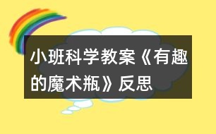 小班科學教案《有趣的魔術(shù)瓶》反思