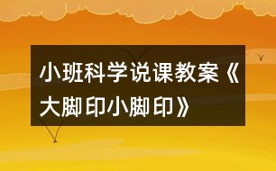 小班科學說課教案《大腳印、小腳印》