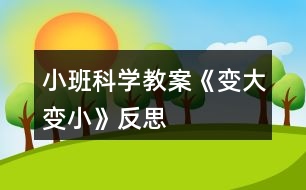 小班科學(xué)教案《變大變小》反思