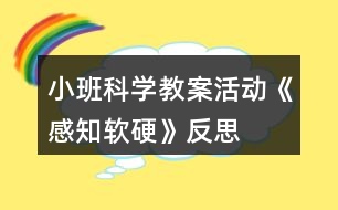 小班科學教案活動《感知軟硬》反思