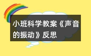 小班科學教案《聲音的振動》反思