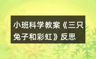 小班科學(xué)教案《三只兔子和彩虹》反思