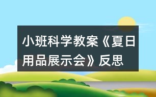 小班科學(xué)教案《夏日用品展示會》反思