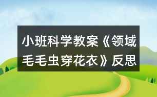 小班科學(xué)教案《領(lǐng)域毛毛蟲穿花衣》反思