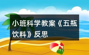 小班科學(xué)教案《五瓶飲料》反思