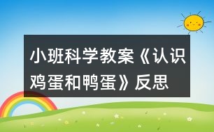 小班科學(xué)教案《認(rèn)識(shí)雞蛋和鴨蛋》反思