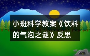 小班科學(xué)教案《飲料的氣泡之謎》反思