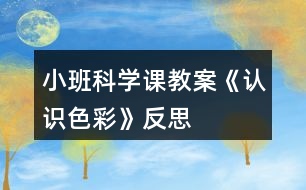 小班科學課教案《認識色彩》反思