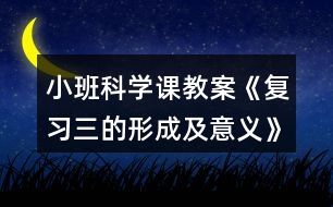 小班科學課教案《復習三的形成及意義》反思