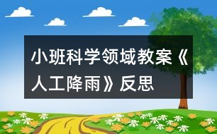 小班科學領域教案《人工降雨》反思