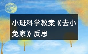 小班科學教案《去小兔家》反思