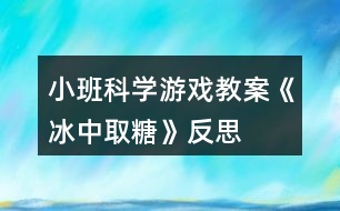 小班科學(xué)游戲教案《冰中取糖》反思