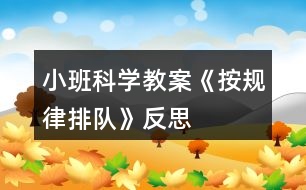 小班科學教案《按規(guī)律排隊》反思